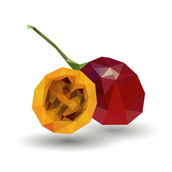 Tamarillo tropische exotisch fruit, vers fruit plakjes vector illustratie in platte cartoon stijl. Geïsoleerde pictogram. Fruit voor druivensap en ingrediënten voor gezond koken, ontwerp vegetarisch menu — Stockvector