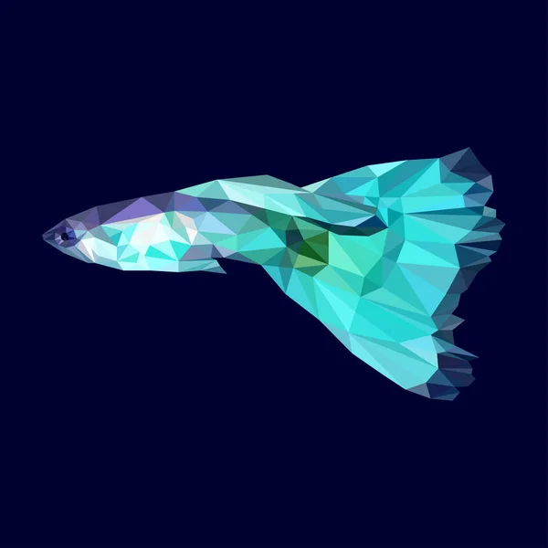 Aquarium Fisch guppy Vektor Illustration isoliert auf weißem Hintergrund. — Stockvektor