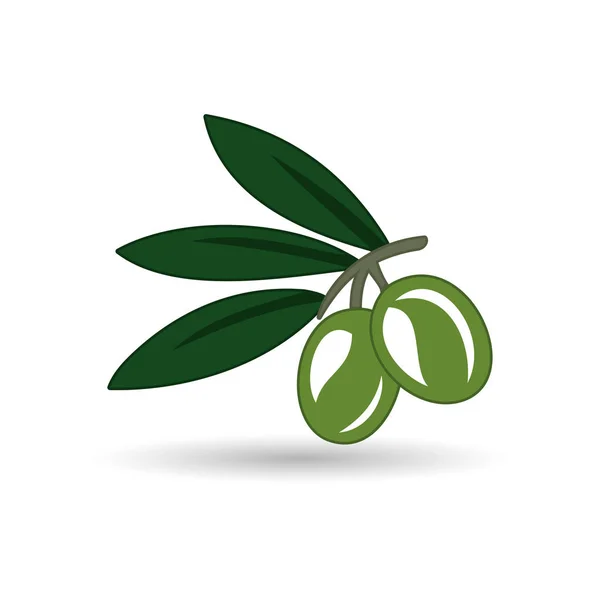 Vektor realistische Darstellung von schwarzen und grünen Olivenzweigen isoliert auf weißem Hintergrund. Design für Olivenöl, Naturkosmetik, Gesundheitsprodukte. — Stockvektor
