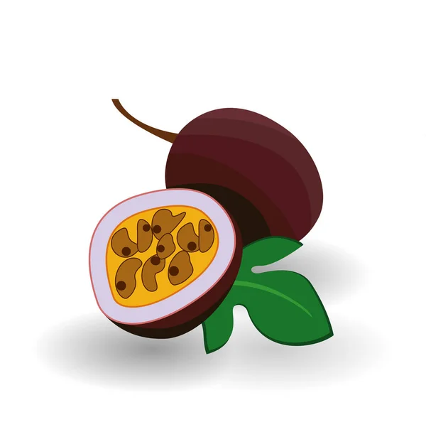 Φρούτα του πάθους και η φέτα που απομονώνονται σε λευκό φόντο — Διανυσματικό Αρχείο