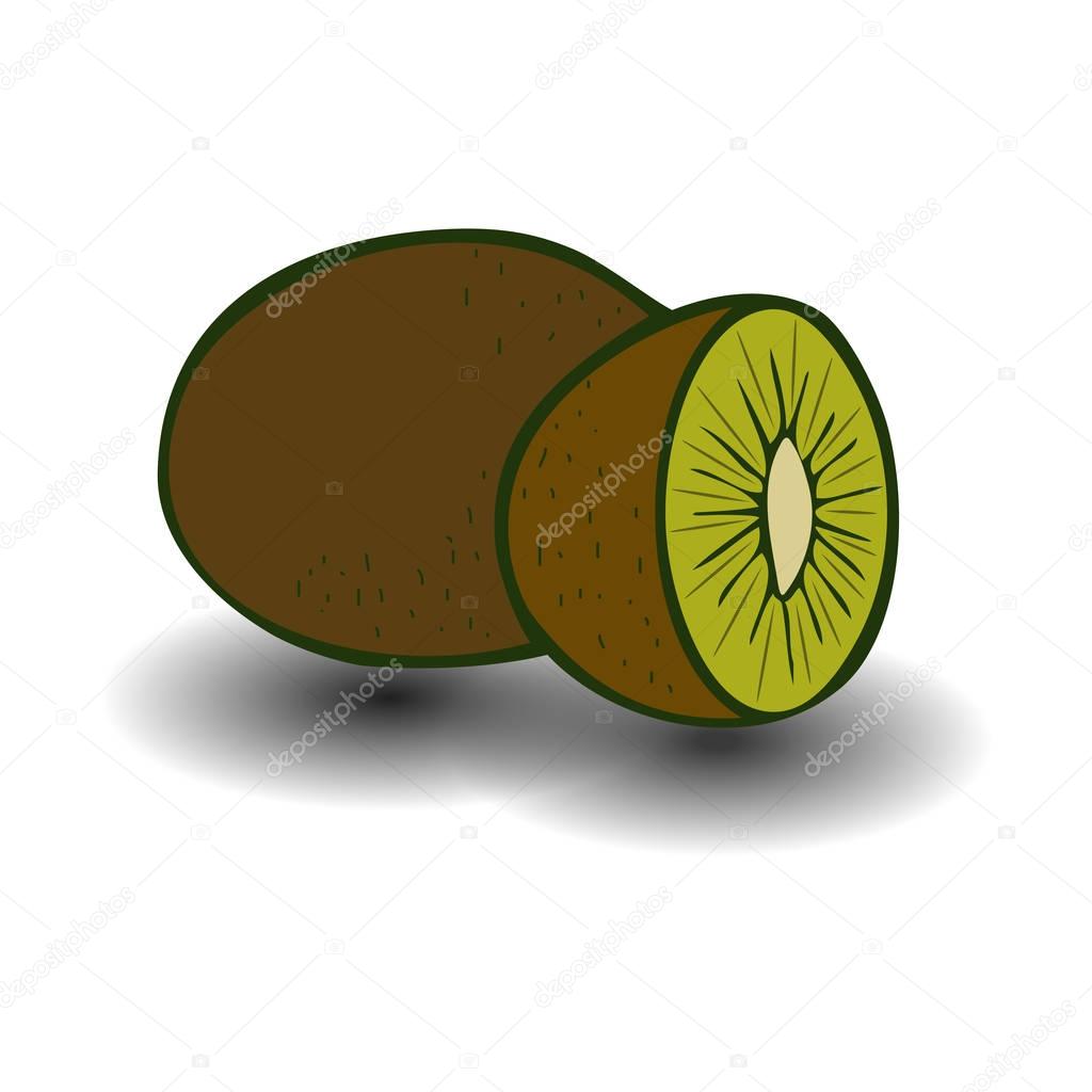 Kiwi fruit vector illustration. Sliced juice kiwi on the white background.