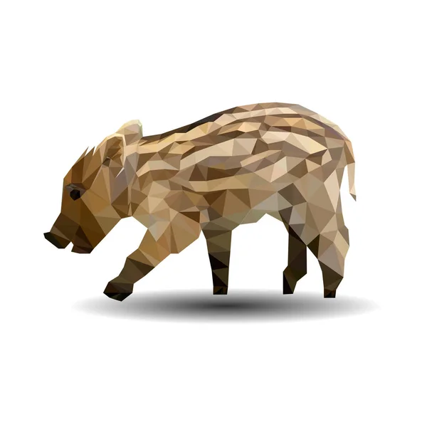 Poligon de porc sur wite backgraund — Image vectorielle