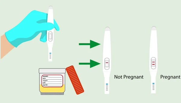 Жінка тримає в руках позитивний тест на вагітність з двома червоними смужками. Позитивний результат. Перевірка вагітності. Векторні ілюстрації плоский дизайн. Ізольовані на фоні . — стоковий вектор
