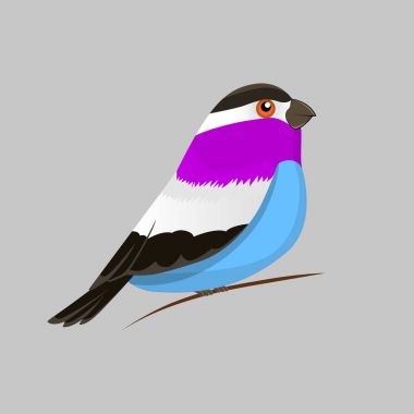 Bir kuş, kuş tasarım simge vektör renkli görüntü