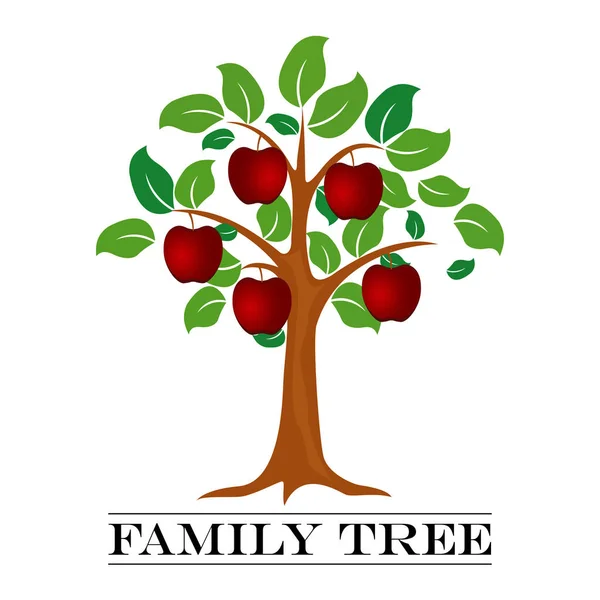 Aile ağacı şablon bir vektör çizim — Stok Vektör