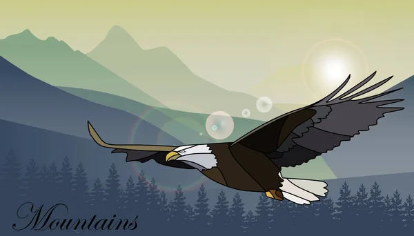 Αετός πετούσε πάνω από τα βουνά. Εικονογράφηση διάνυσμα — Διανυσματικό Αρχείο