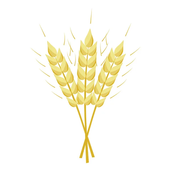 Ears of wheat. — Stock Vector