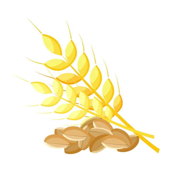 小麦、現実的なベクトル図 — ストックベクタ