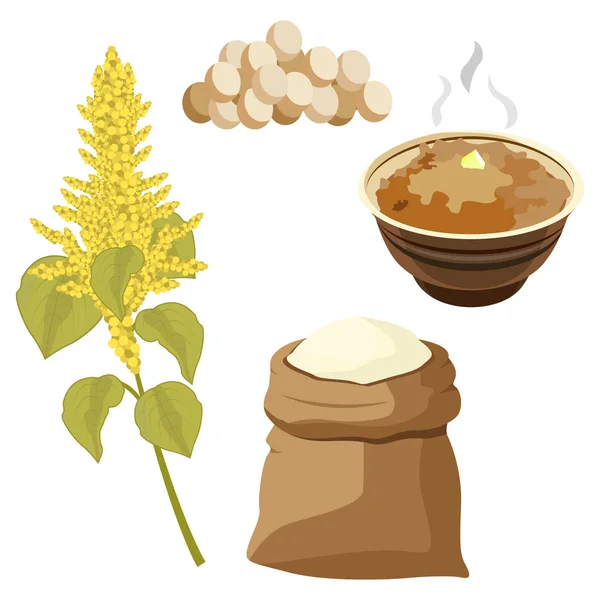 Grano amaranto fiori e foglie. Illustrazione vettoriale . — Vettoriale Stock