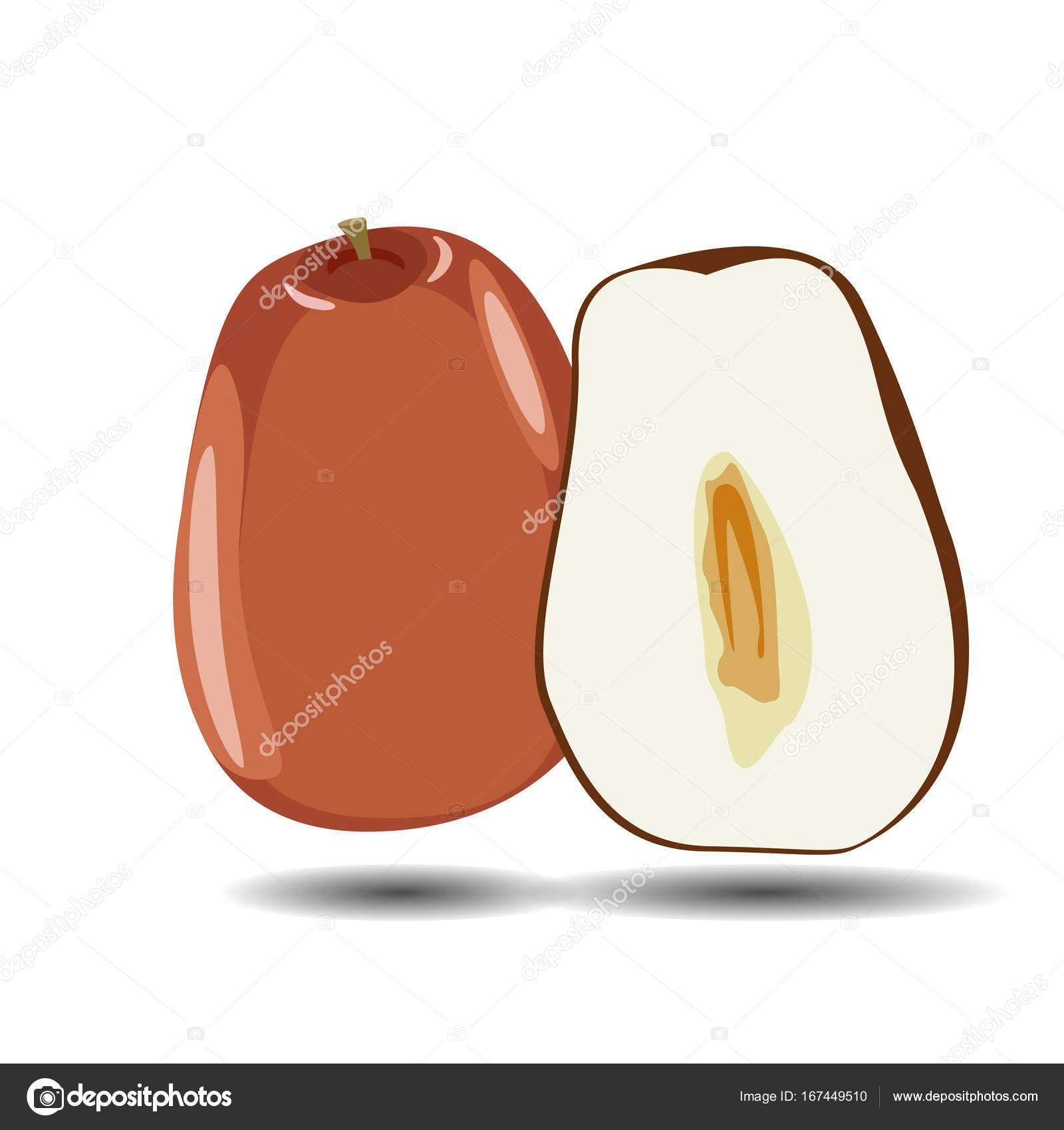 Jujube Jujube Vector Food Fresh Fruit Healthy Drawn Stock Vector Image By C Slobodyan 78