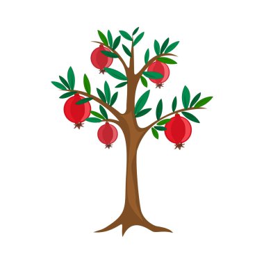 nar ağacı, vektör meyve, illüstrasyon, yaprak, doğa,