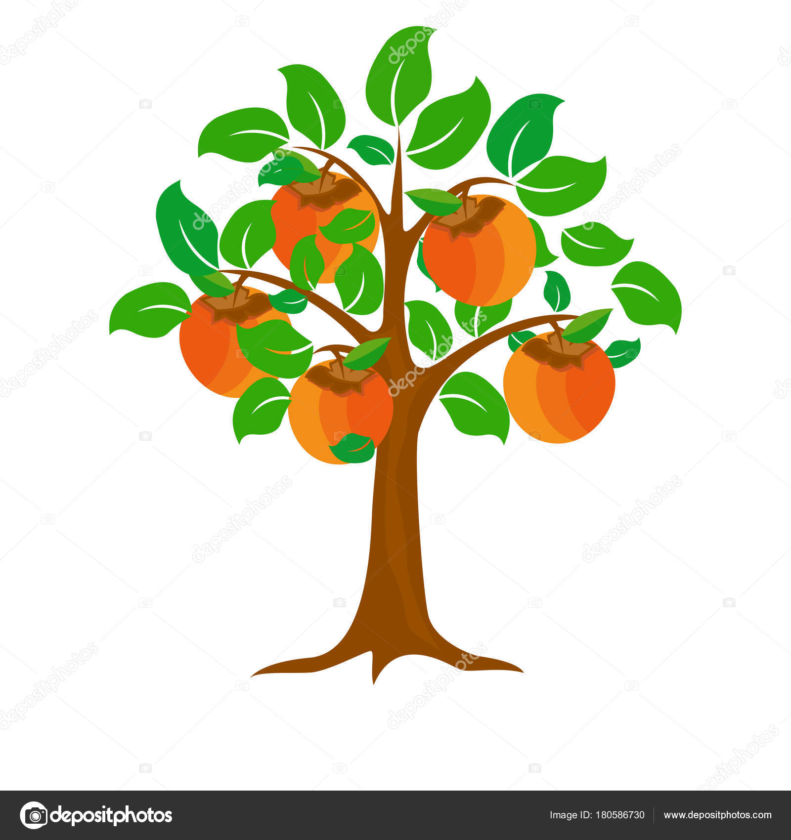 ベスト50 柿の木 イラスト 美しい花の画像