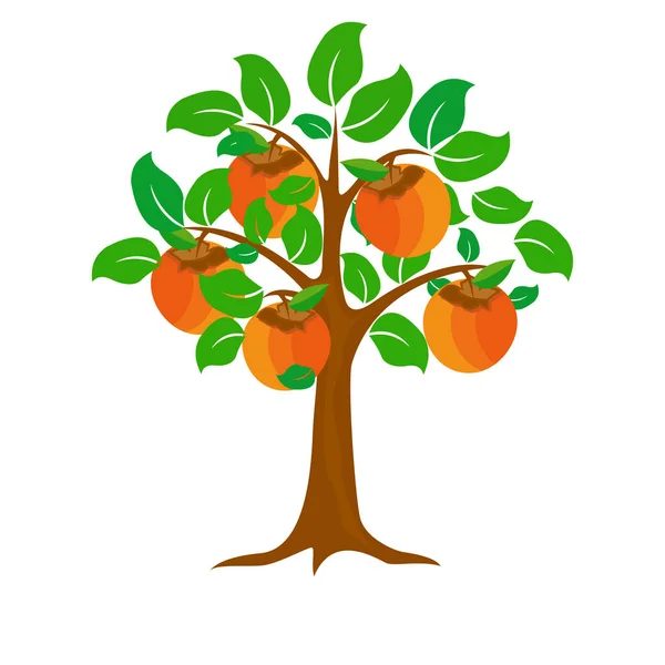 Baum der Kaki. Vektordesign, Hintergrund, Symbol, Abstrakt, Symbol, Element — Stockvektor