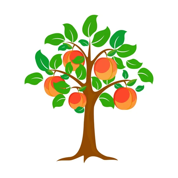 Tree of a peach. Vector design, background, symbol, abstract, icon, Royalty Free Stock Vectors