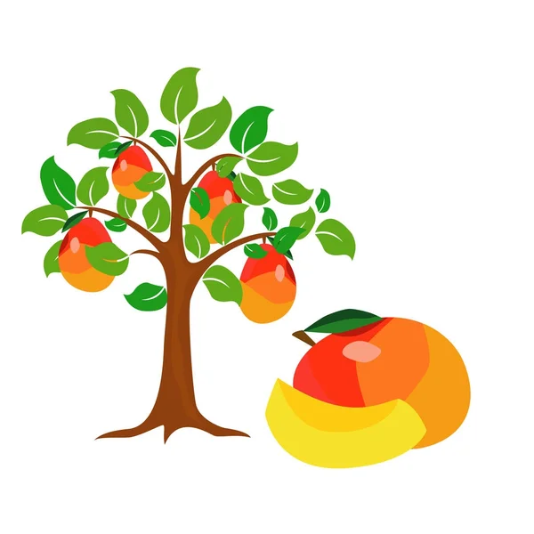 A tree of mango. Vector  symbol,  abstract,  icon,  element, Stock Illustration