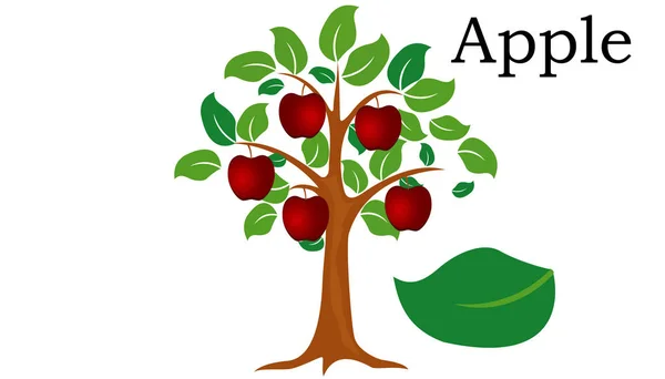 Elemento vector de Apple Trees. vector verde — Archivo Imágenes Vectoriales