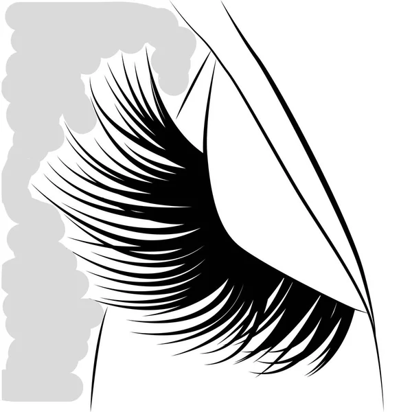 Eyelash esign,    art,  abstract,  white,  black,  beautiful, — Stock Vector