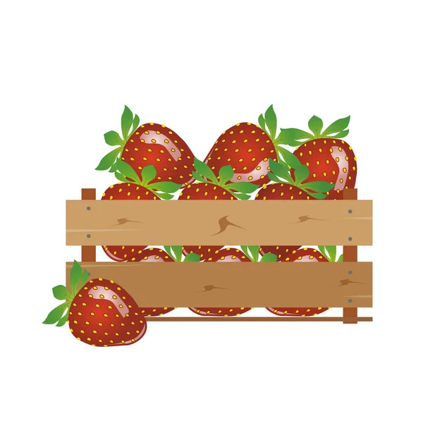 Scatola con fragole, legno, frutta, fresca, naturale , — Vettoriale Stock