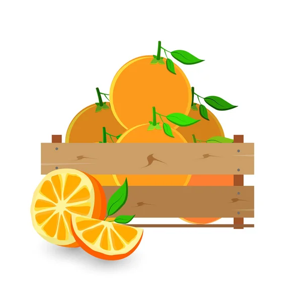 상자와 오렌지, 나무, 과일, 신선한, 자연, — 스톡 벡터