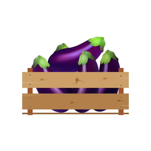 Vak met aubergine, houten, fruit, verse, natuurlijke, — Stockvector