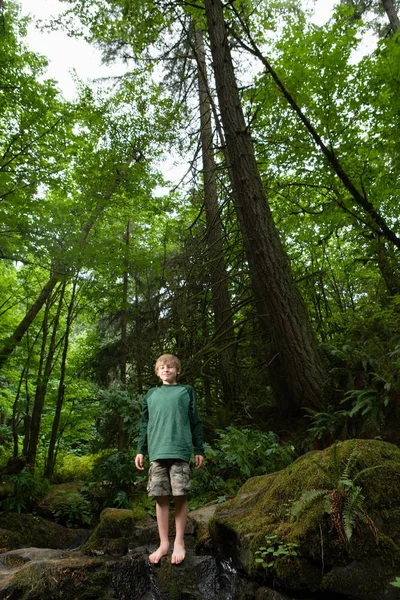 森の中の岩の上に立つ少年 — ストック写真