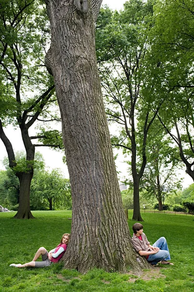 Jugendliche sitzen gegen Baum — Stockfoto