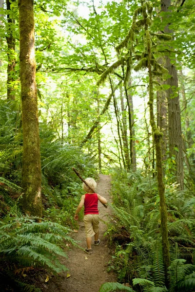 森の小道に沿って歩いている少年 — ストック写真