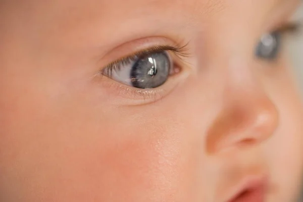 Ogen van de baby, close-up — Stockfoto