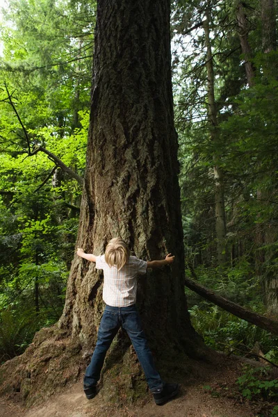 Ragazzo che allunga le braccia intorno al grande albero — Foto Stock