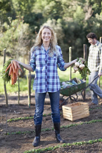 Frau pflückt Gemüse im Garten — Stockfoto