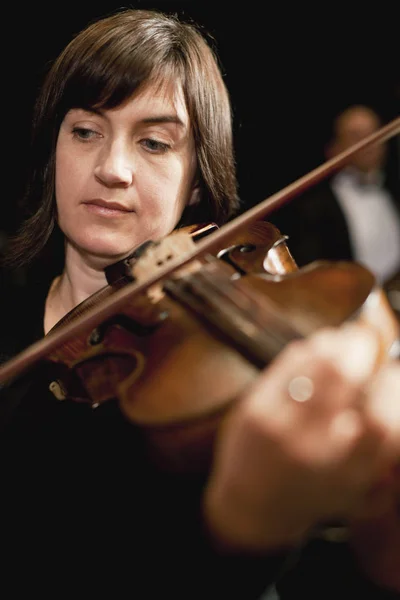 Violinista in orchestra — Foto Stock