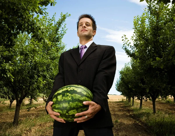 Empresário carregando melão no pomar — Fotografia de Stock