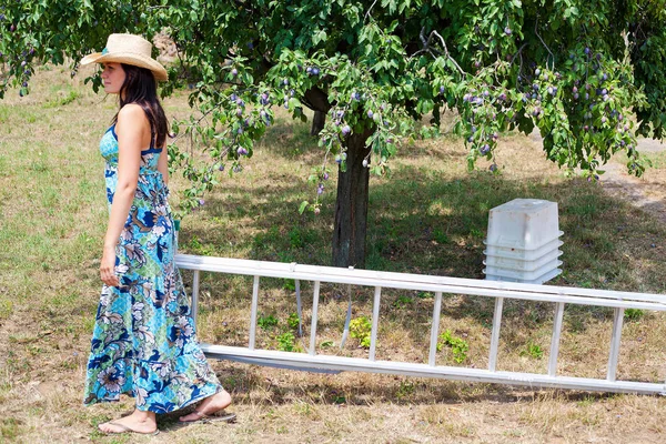 Mujer llevando escalera —  Fotos de Stock