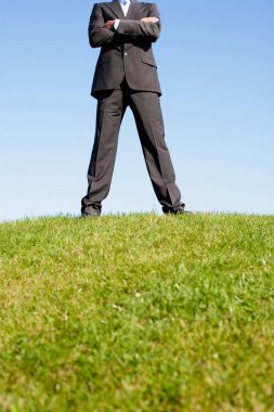 Businessman Standing On Hill clipart