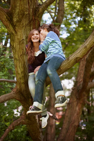 Dos chicas divirtiéndose juntas en un árbol — Foto de Stock