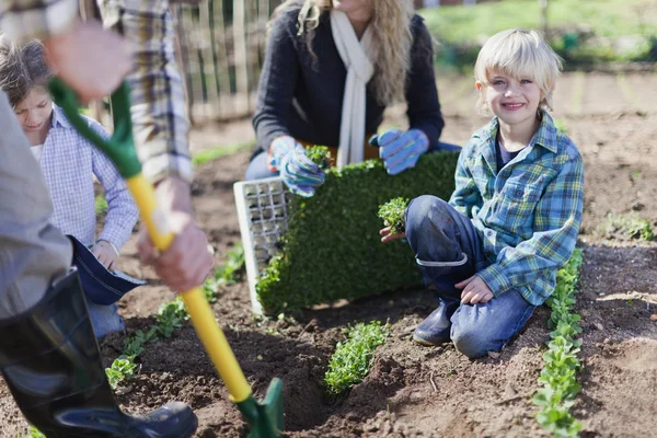 Familie pflanzt gemeinsam im Garten — Stockfoto