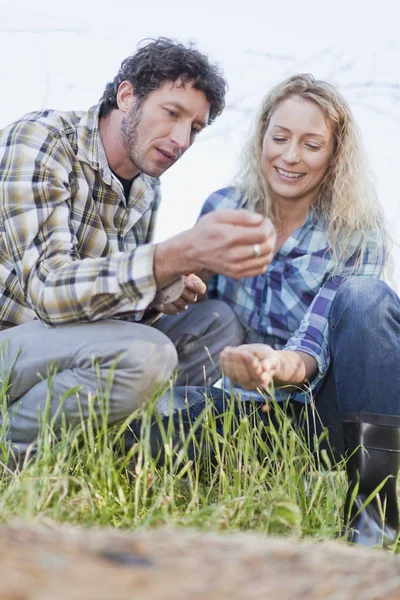 Paar untersucht Saatgut — Stockfoto