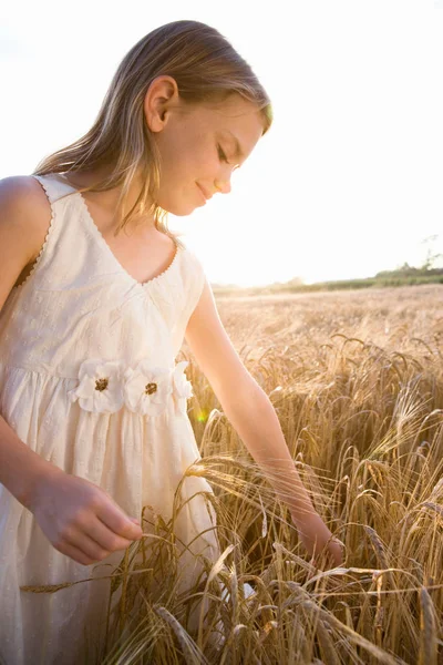 Fille debout dans le champ de maïs — Photo