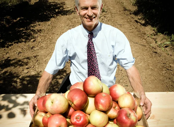 Businessman sitting behind pile of apples — Stock Photo, Image