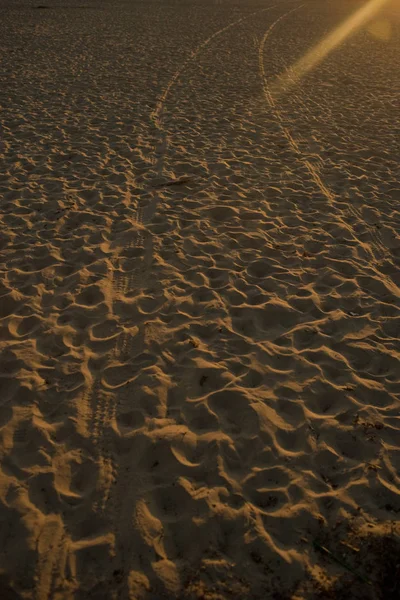 Tyre tracks on sandy beach — Stock Photo, Image