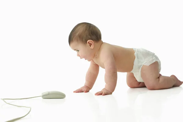 Bebé mirando el ratón del ordenador — Foto de Stock