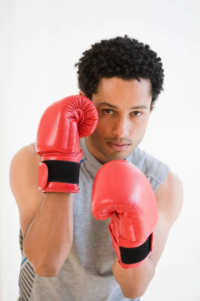 Portræt af bokser i handsker - Stock-foto