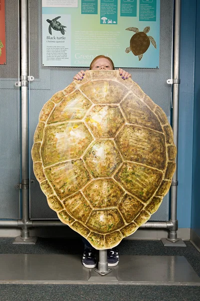 Flicka som står bakom sköldpaddsskal — Stockfoto