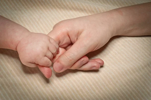 母の指を持っている新生児の手 — ストック写真