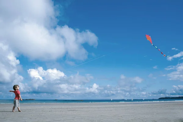 Pojke med flygande drake stående vid stranden — Stockfoto