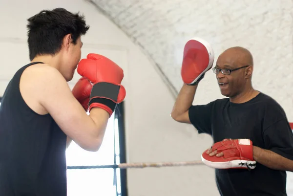 Boxer Προπόνηση Πούλμαν Στο Γυμναστήριο — Φωτογραφία Αρχείου