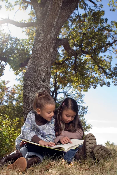 Twee Jonge Meisjes Lezen Van Een Boek — Stockfoto