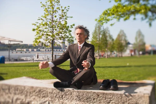 Idősebb ember, meditál, park — Stock Fotó