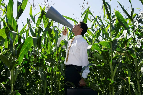 Людина з мегафоном на кукурудзяному полі — стокове фото