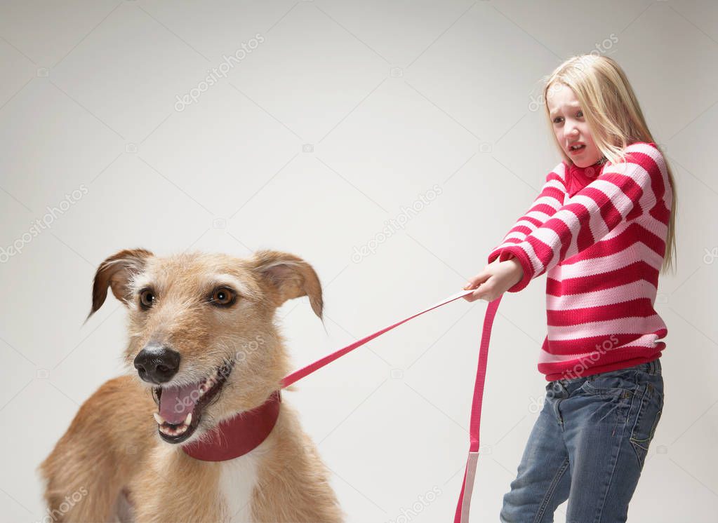 Girl pulling a lurcher on lead